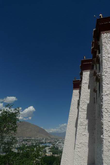 调整大小 P1030518.JPG