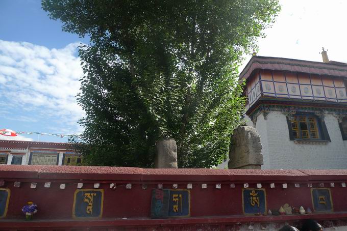 大昭寺门口的种痘碑，清朝立的，左面那个就是。