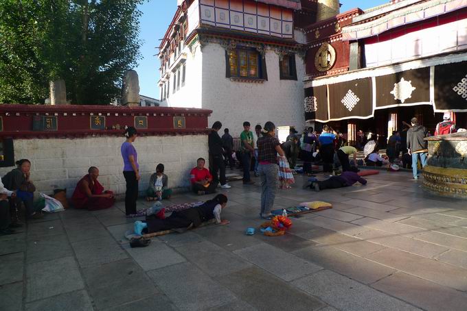 墙角席地而坐的红火蚁这就是我