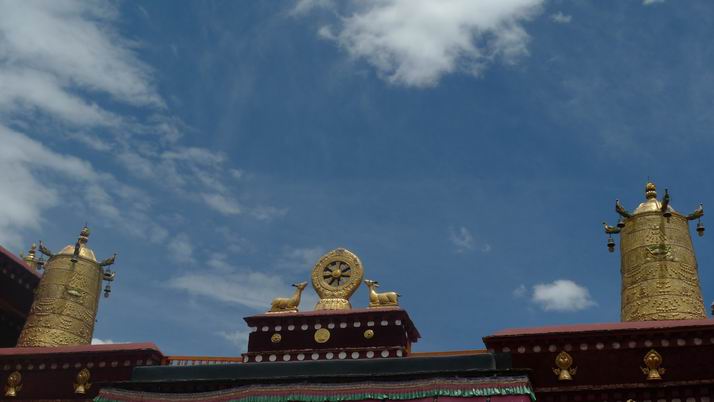 调整大小 P1030599.JPG