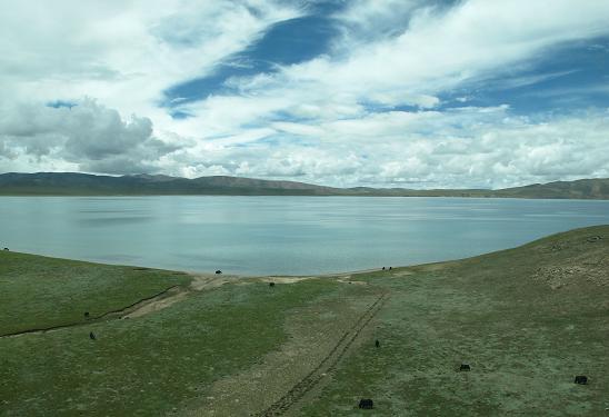 青海湖.JPG