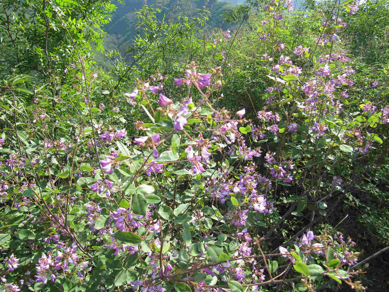 禅妙连爬 020.jpg