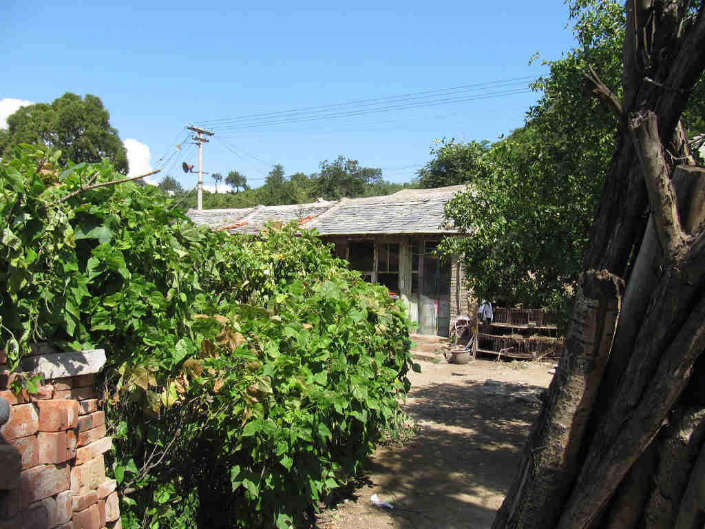 禅妙连爬 056.jpg