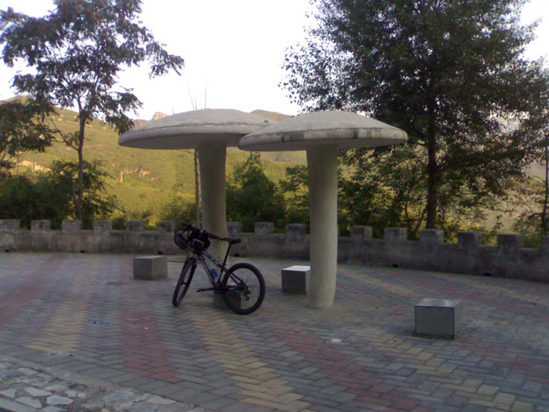 201008281199.jpg
