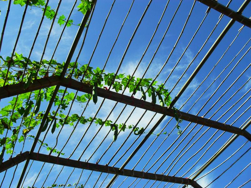 调整大小 SDC10347.JPG