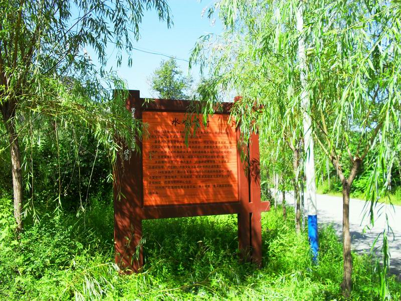 调整大小 SDC10368.JPG