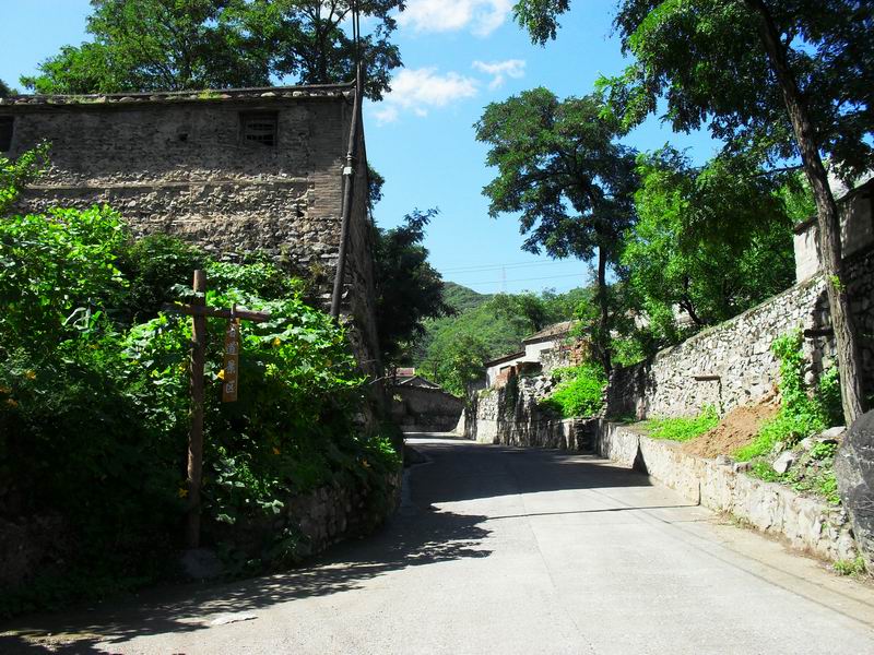 调整大小 SDC10379.JPG