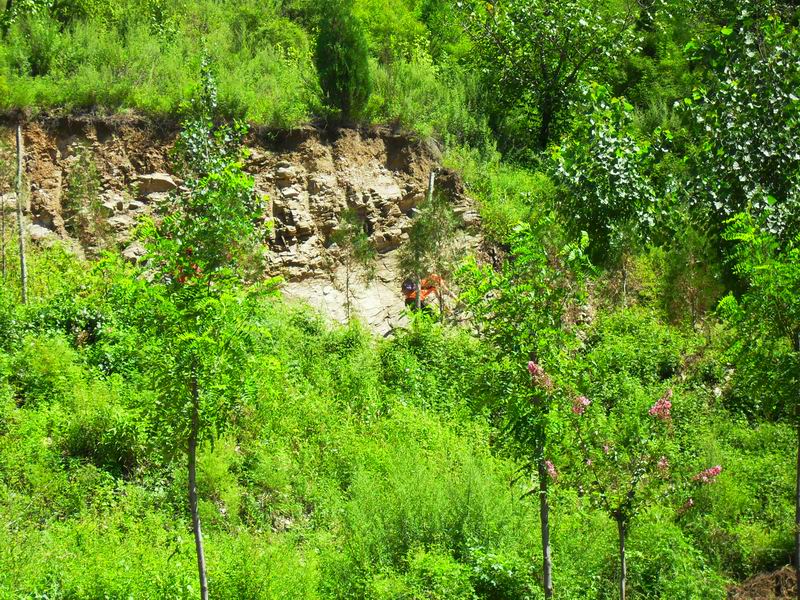 调整大小 SDC10425.JPG