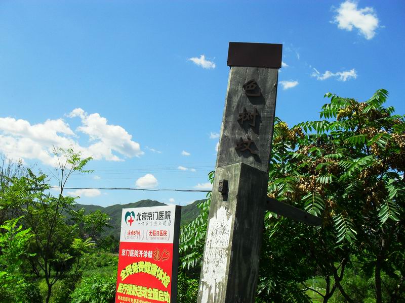 调整大小 SDC10499.JPG