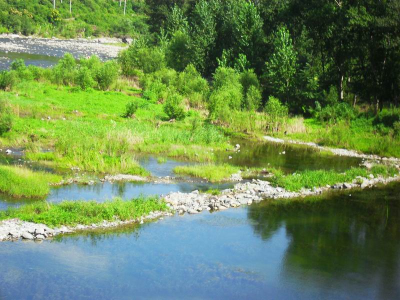 调整大小 SDC10517.JPG