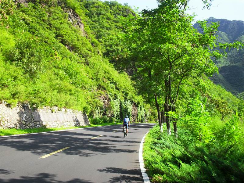 调整大小 SDC10530.JPG