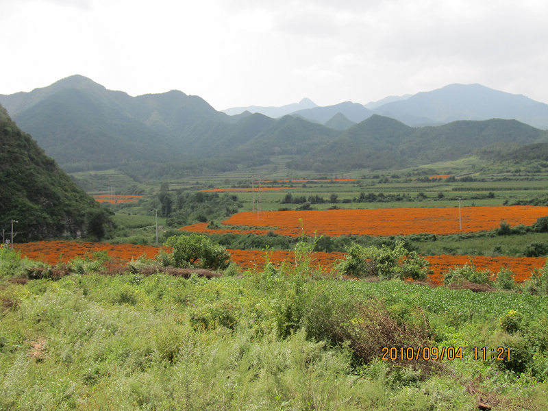 四海、永宁、解字石绕圈骑行 038.jpg