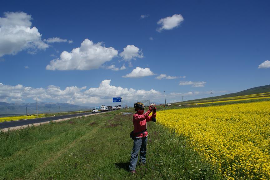 109国道的油菜花