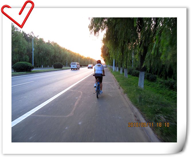 在顺平路的返程路上。