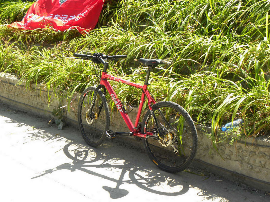 男子第一名的战车