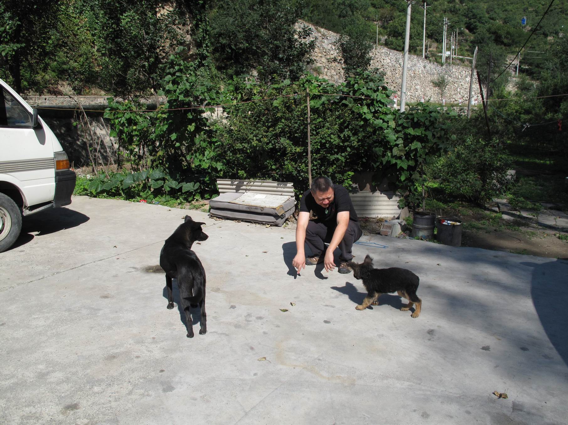 调整大小 IMG_1786.jpg