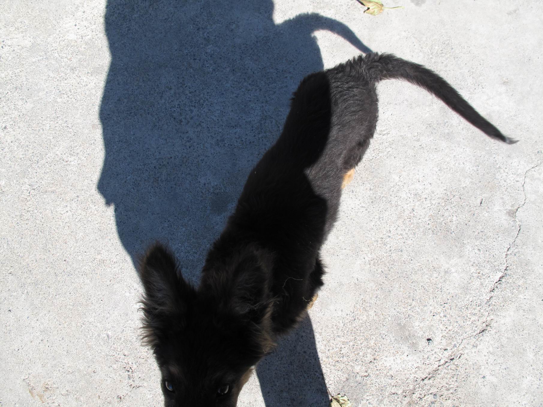 调整大小 IMG_1788.jpg