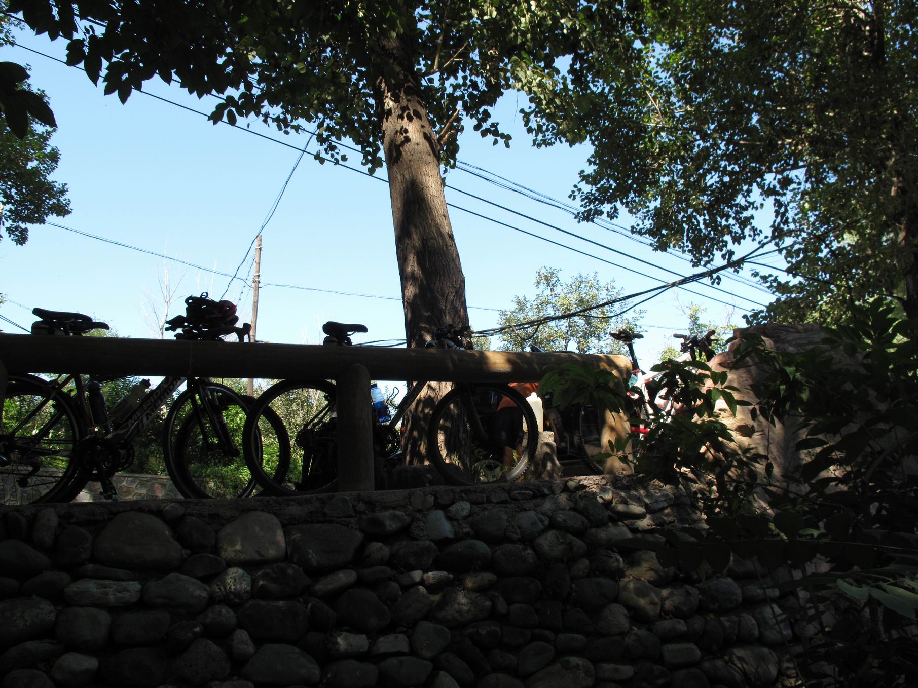 调整大小 IMG_1796.jpg