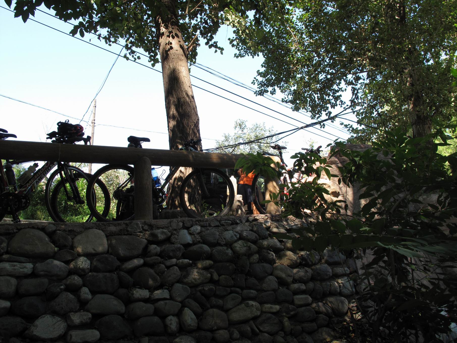 调整大小 IMG_1795.jpg