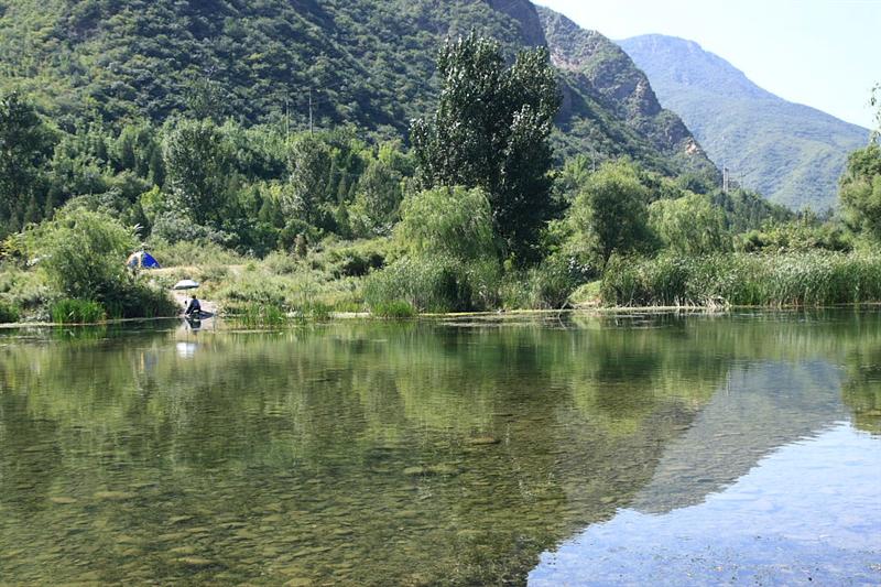 IMG_6101 (Medium).JPG