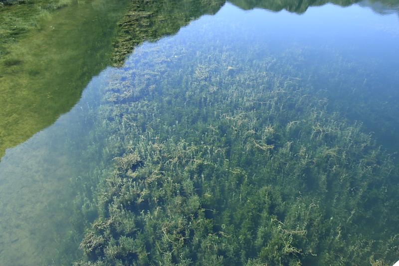 IMG_6089 (Medium).JPG