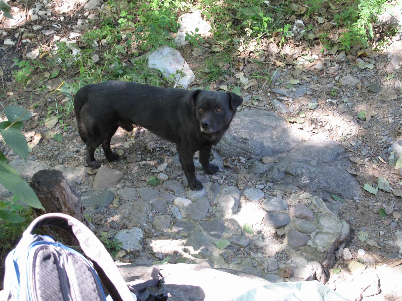 调整大小 IMG_1927.jpg