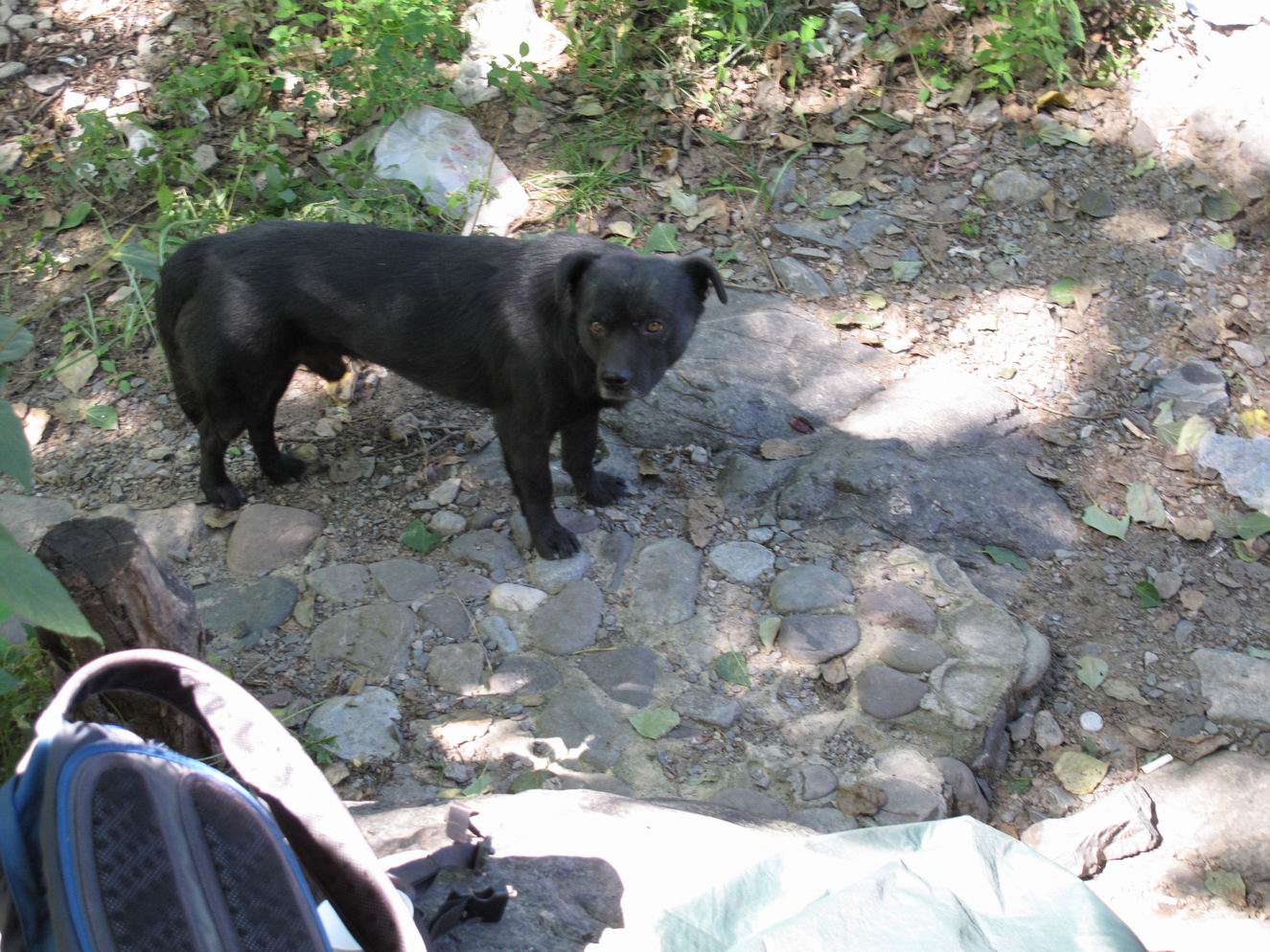 调整大小 IMG_1928.jpg