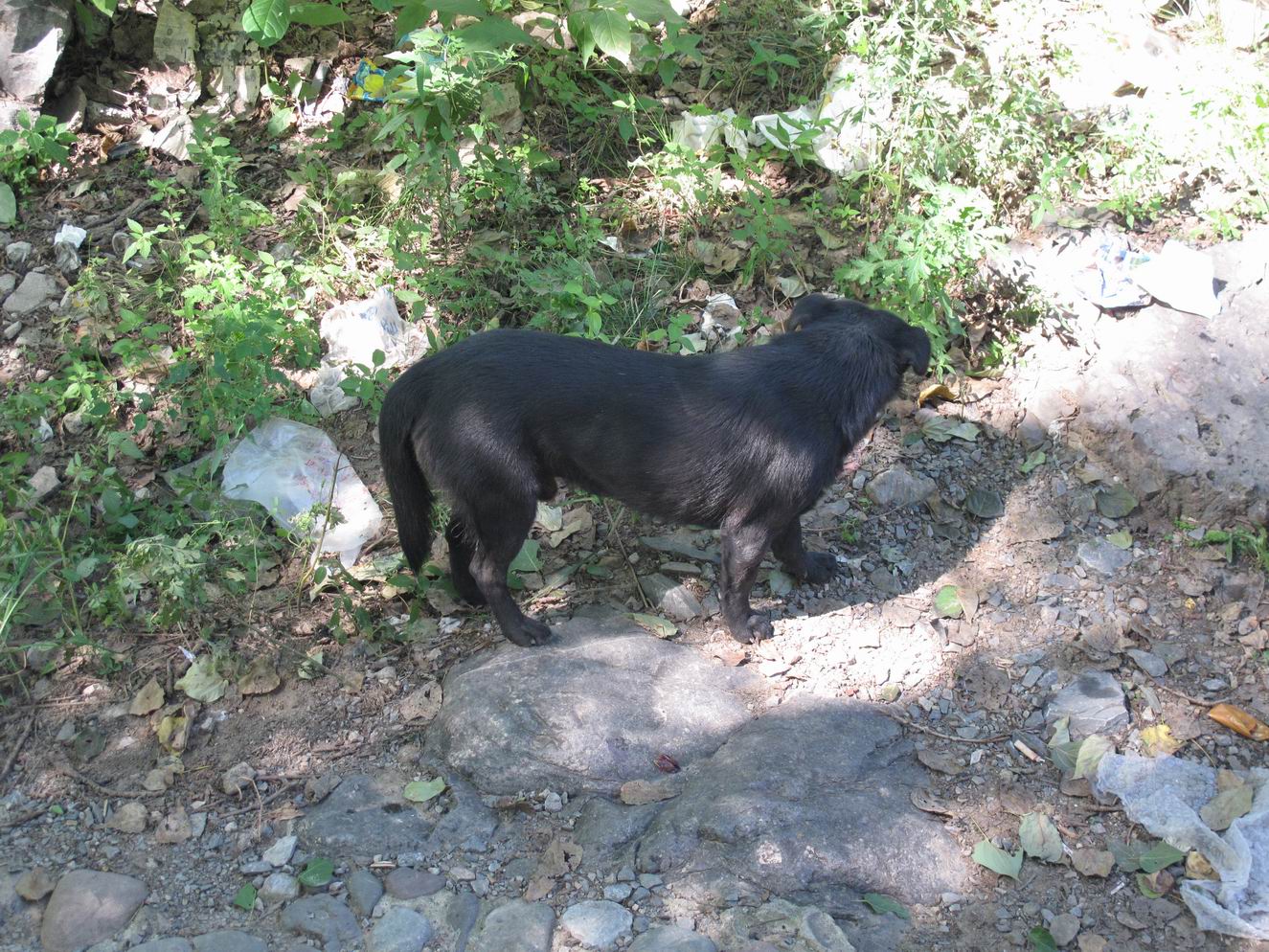 调整大小 IMG_1929.jpg