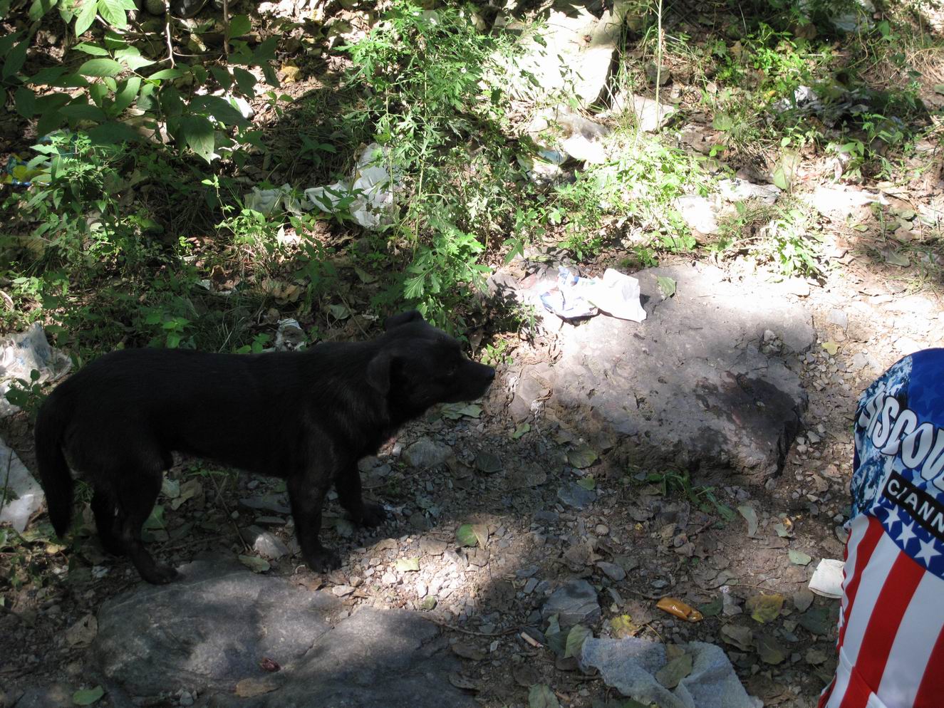 调整大小 IMG_1930.jpg