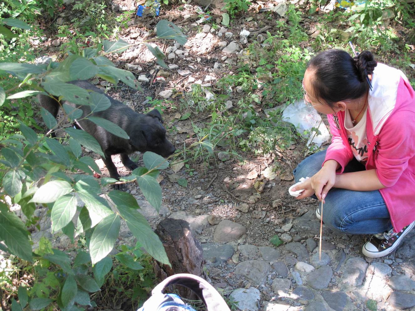 调整大小 IMG_1926.jpg