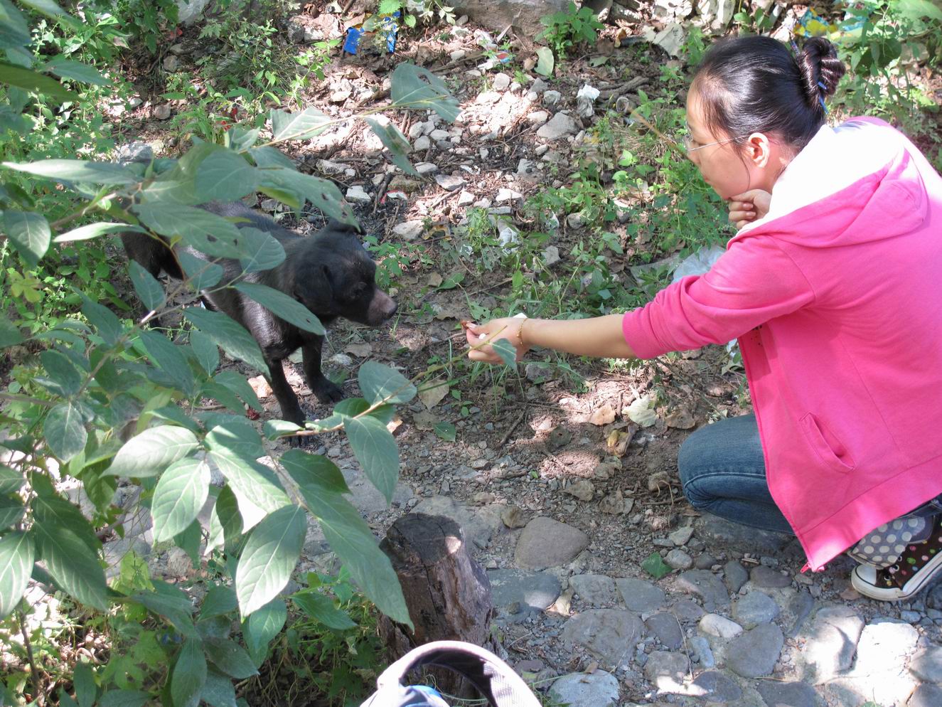 调整大小 IMG_1924.jpg