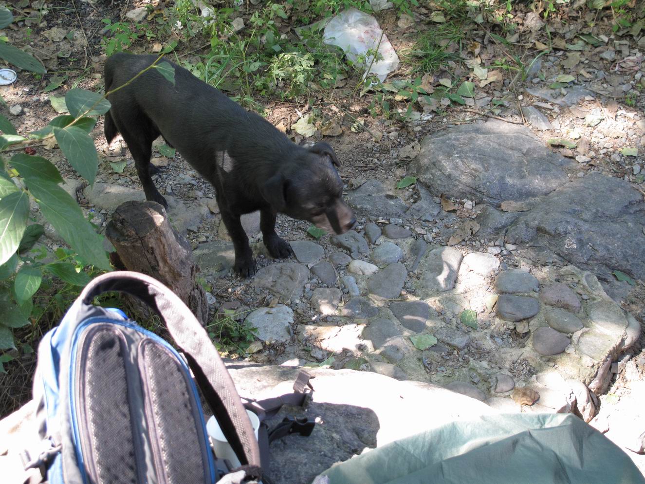 调整大小 IMG_1922.jpg