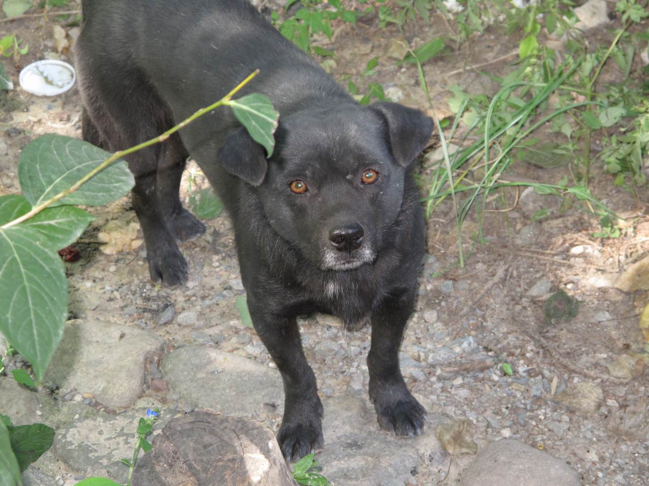 调整大小 IMG_1921.jpg