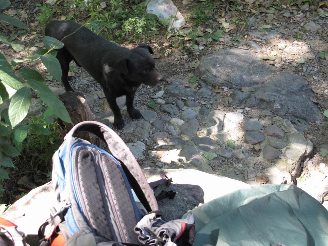 调整大小 IMG_1923.jpg