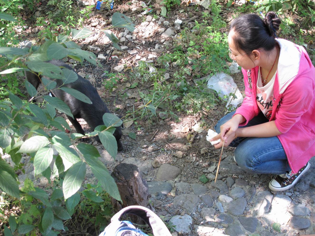 调整大小 IMG_1925.jpg