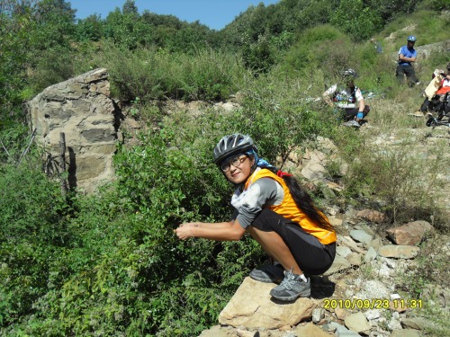 SDC11923_conew1.jpg