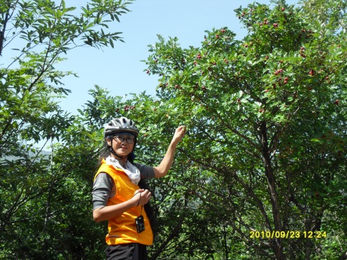 SDC11979_conew1.jpg