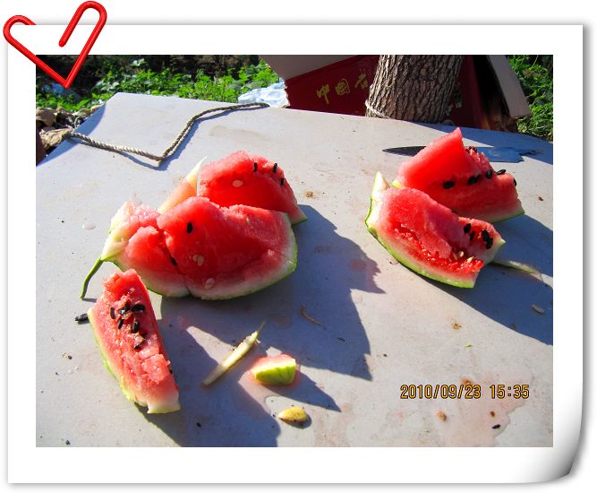 这是麒麟瓜，人少，小瓜也吃不完。