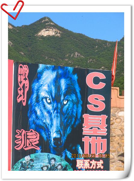 看到野狼就是有名。