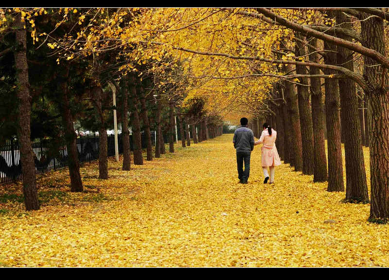 你曾经是照片中的主角吗？