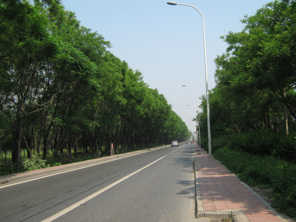 八达岭高速附路