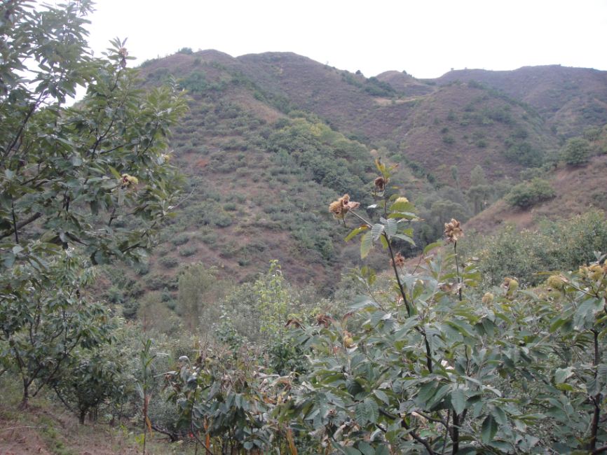 早上就是在这山下骑的