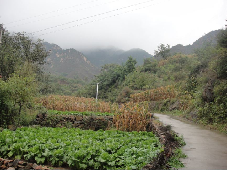 羊肠小道，山上云雾缭绕是个风景线