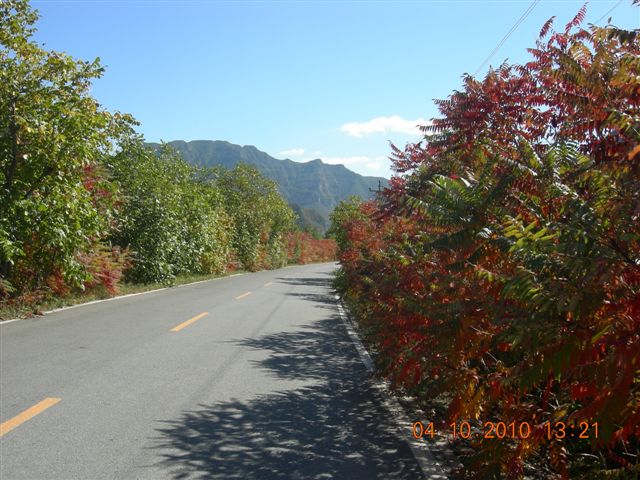 南石羊沟 147.jpg