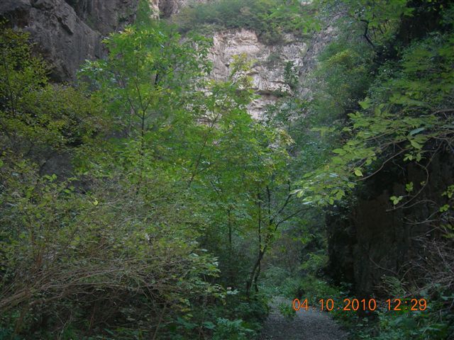 南石羊沟 103.jpg