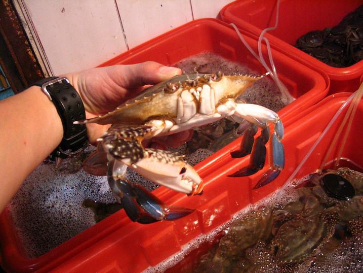 天津之行 (105).JPG