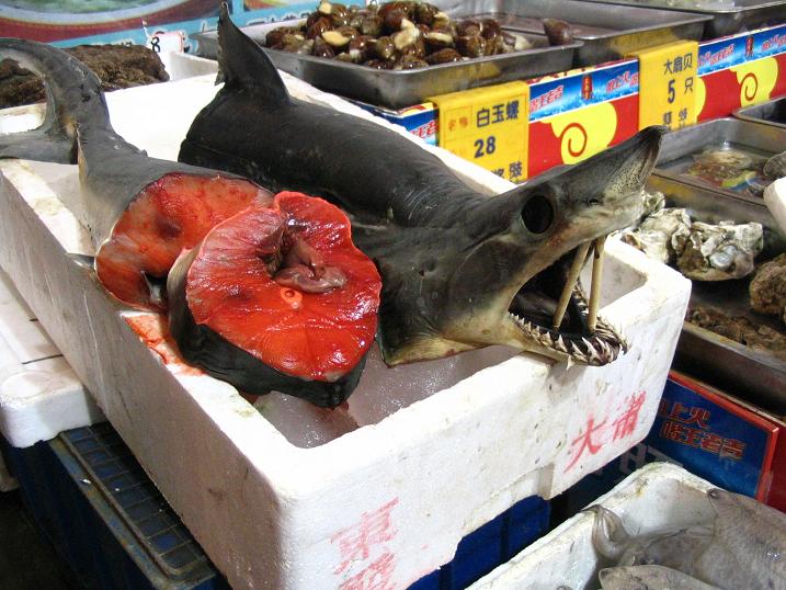 天津之行 (143).JPG