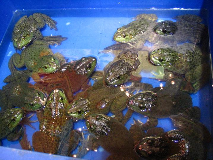 天津之行 (139).JPG