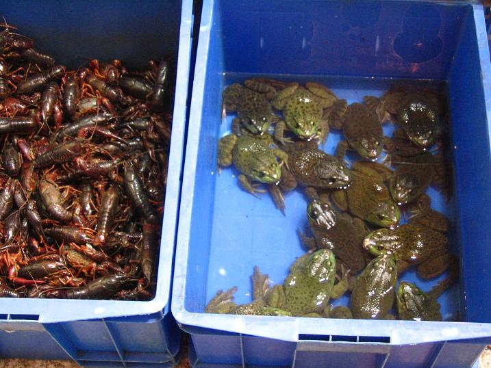 天津之行 (133).JPG