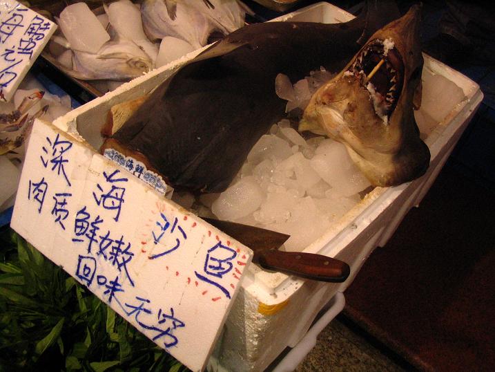 天津之行 (142).JPG